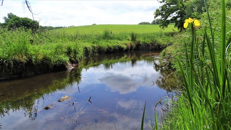 The Brandifrout river