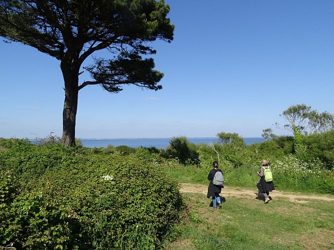 Towards the grands sables beach