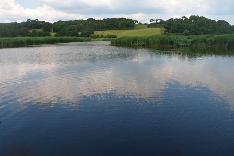 Confluence of the Scorff and the Scave