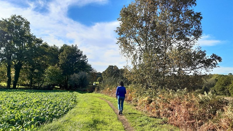 On the old railway line