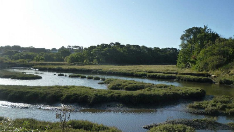 La Goden marsh