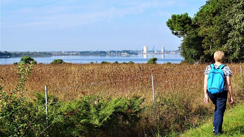 View of the bay