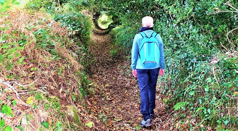 Dans les chemins creux