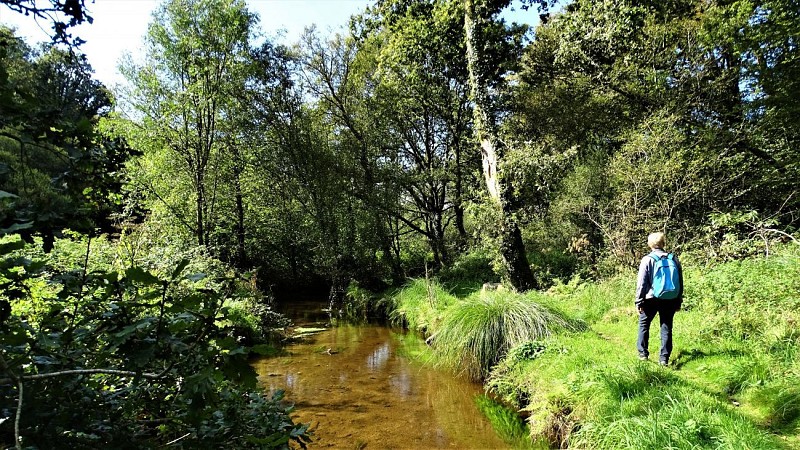 Near the Saint-Sauveur