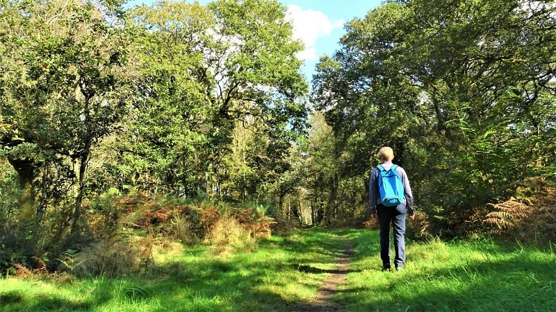 The pathways