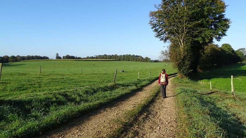 hiker on the path