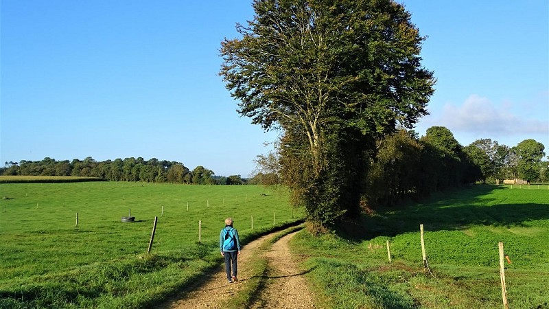 Sur le chemin