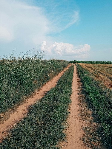 Chemin campagne
