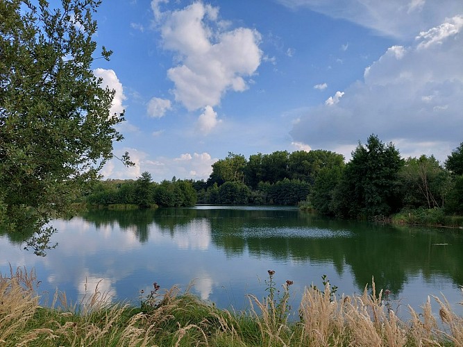 Etangs de la Bar
