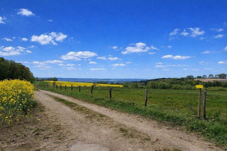 Chemin