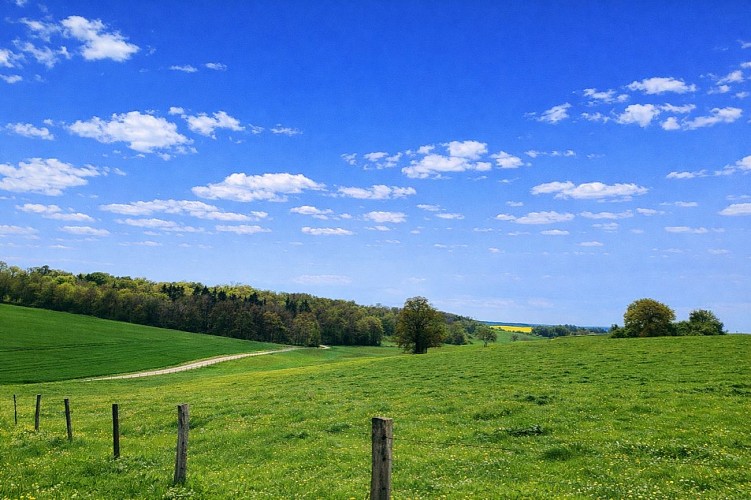 Chemin