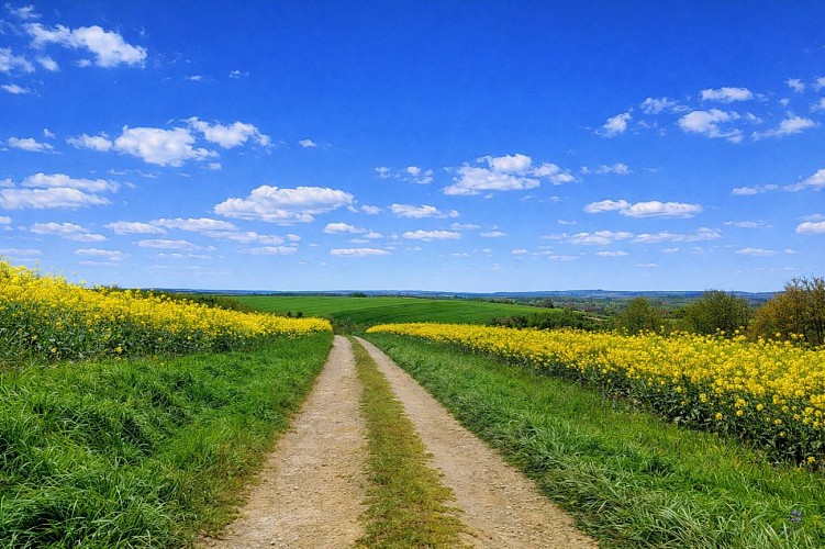 Chemin