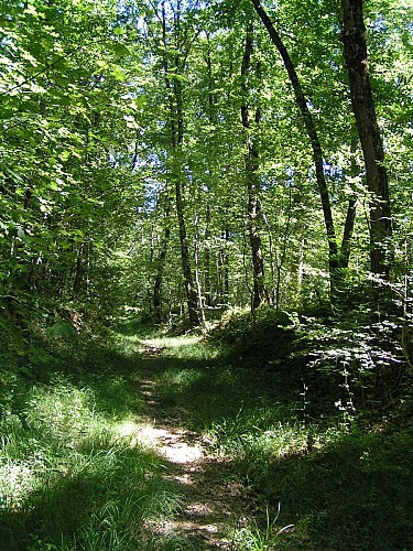 VERS LES CHÂTEAUX GASCONS - TRAIL n°7 - Beaucaire_Beaucaire