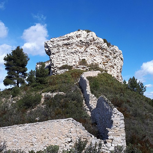 Clôture de la Forbine