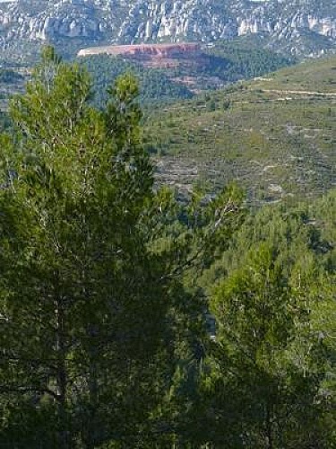 Allauch : les collines de Pagnol