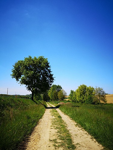 Sentier Montjoire (48)