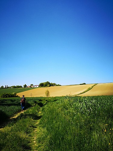 Sentier Montjoire (67)