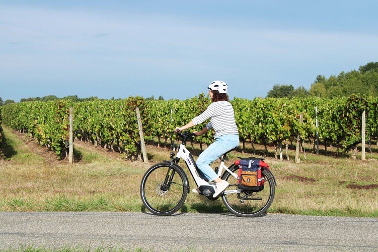 VELO-VIGNES