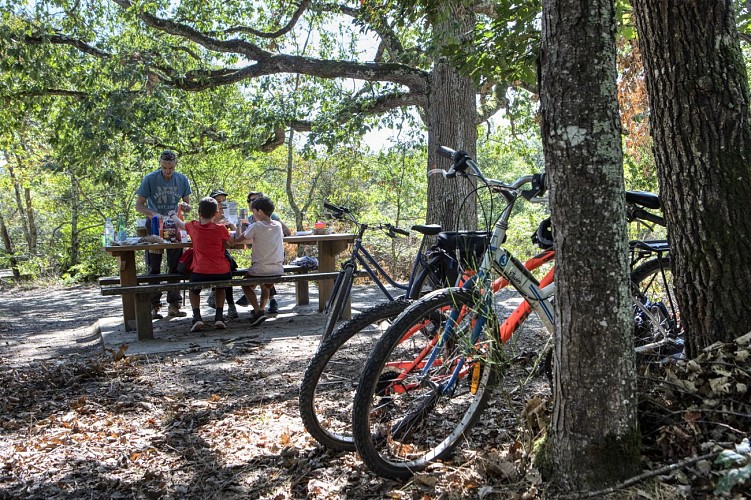 F5A1001©Manuel-Huynh_1920x1280