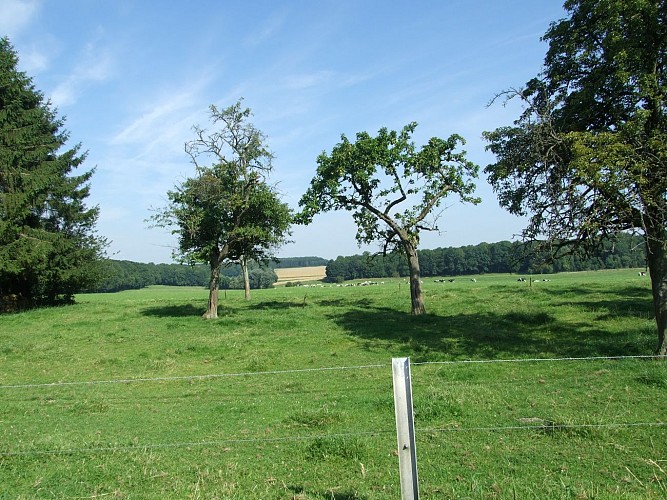 Panorama Warzée-Béemont