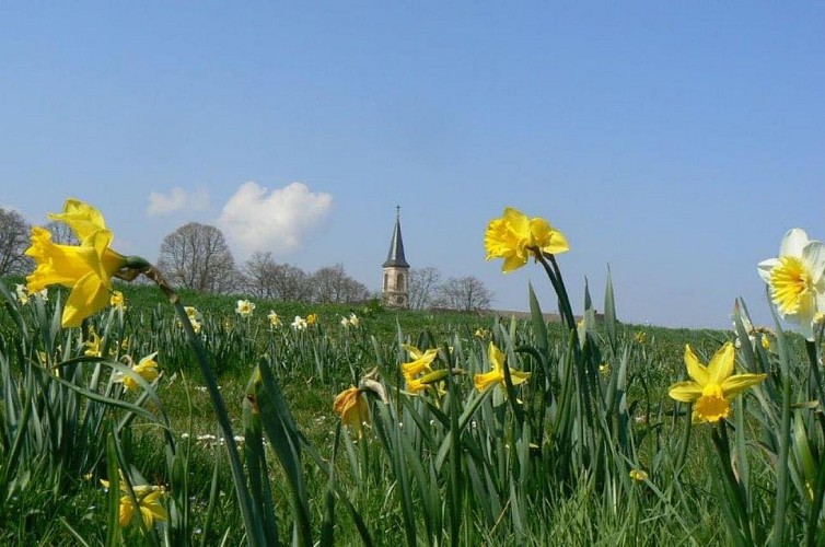 Wanderroute Hergheim