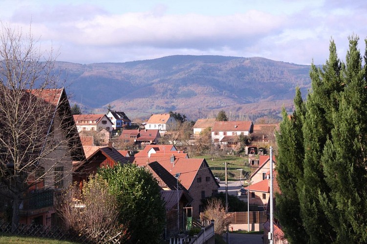 Les petits explorateurs à Dieffenbach-Au-Val