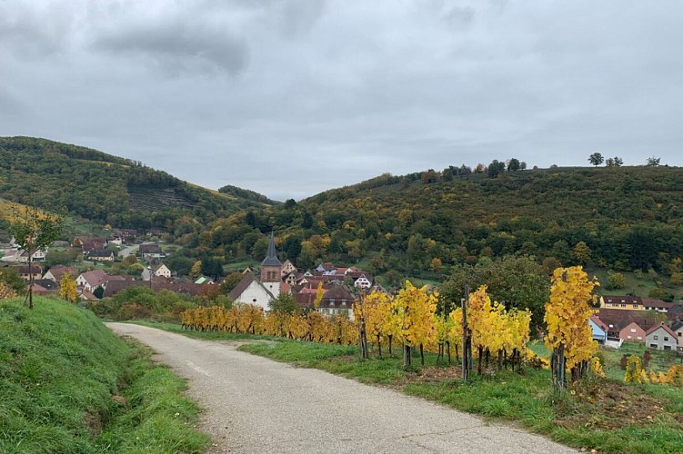Balade ludique à Albé