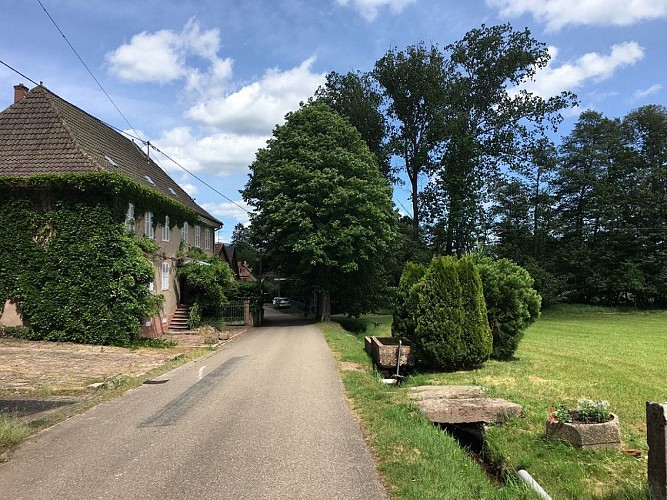 Hiking tour for families - Bassemberg