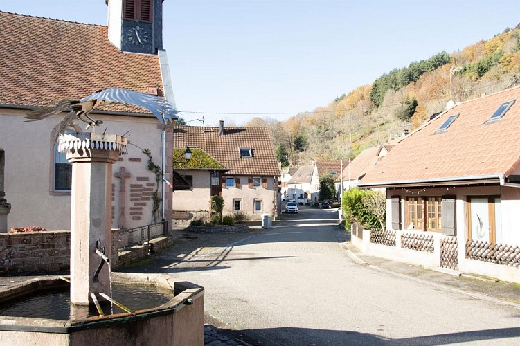 Hiking tour for families - Bassemberg