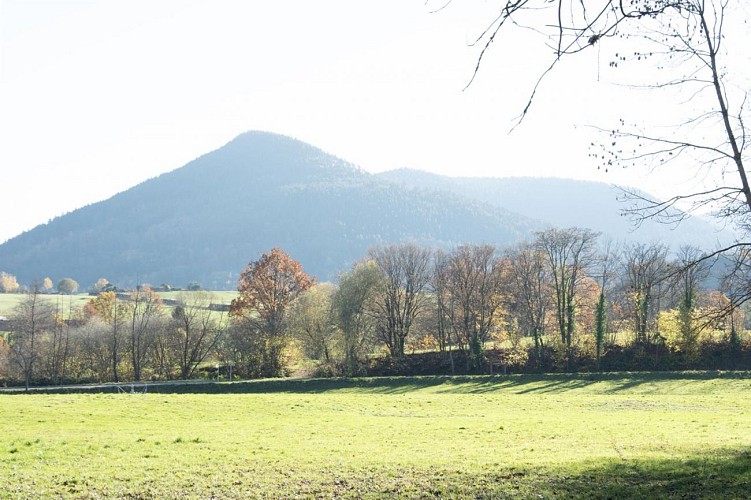 Hiking tour for families - Bassemberg
