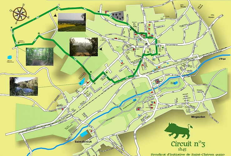 Wandeling van de 3 everzwijnen in Saint-Chéron - groene route