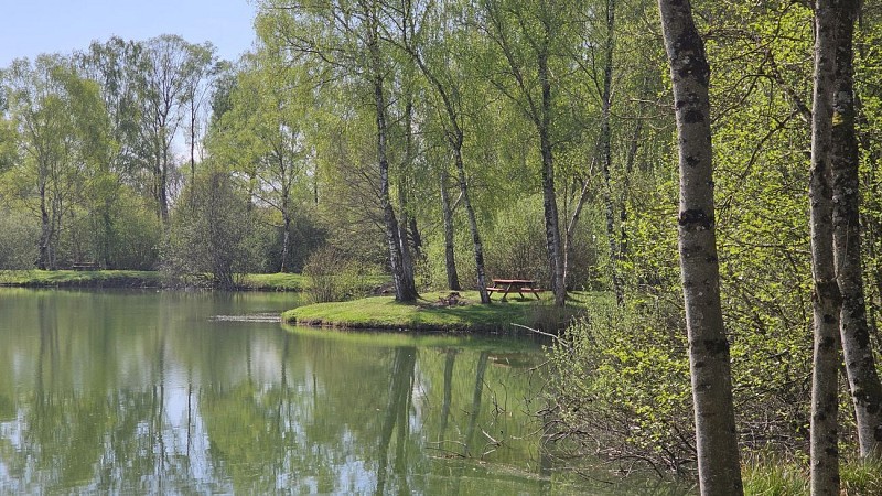 Etangs de la Bar