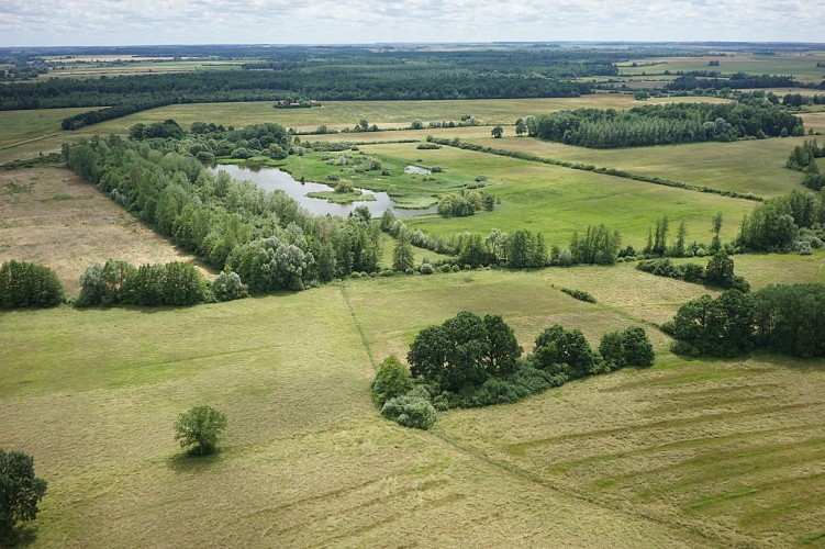 GR de Pays Argonne - Boucle 2 : Sur les traces des Ducs de Joyeuse
