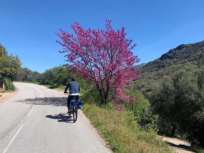 Route en balcon de Balagne ©O LEONETTI