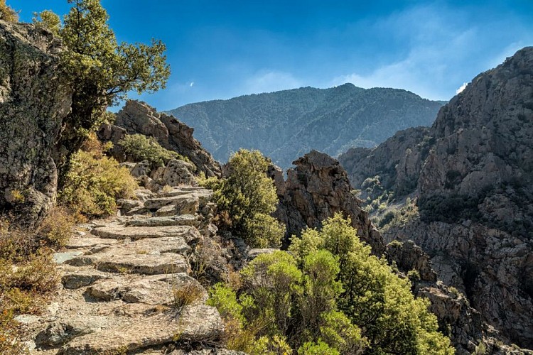 Sentier pédestre au dessus de la Scala di Santa Regina ©iStock-joningall