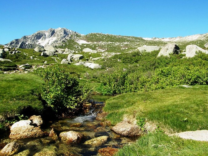 Sentier Bergeries E Capanelle - Monte Renoso ©ATC