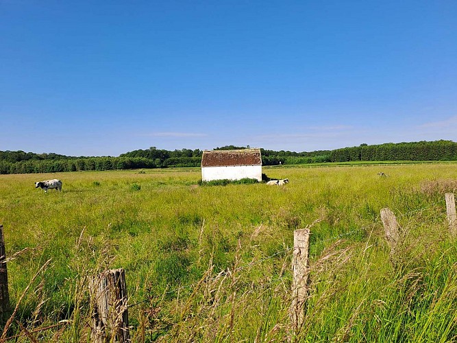 Bellefontaine_Gaume