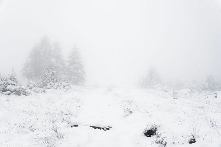 Rando et bivouac hivernal dans les Hautes Fagnes