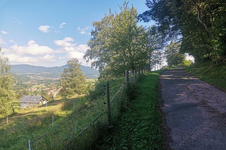 Chemin du Patrimoine "Une forêt en pays welche"