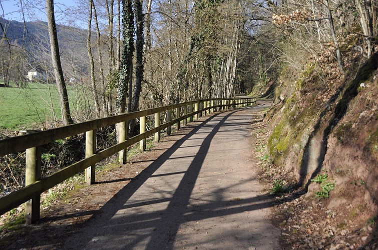 Randonnée - Les alentours de Bassemberg