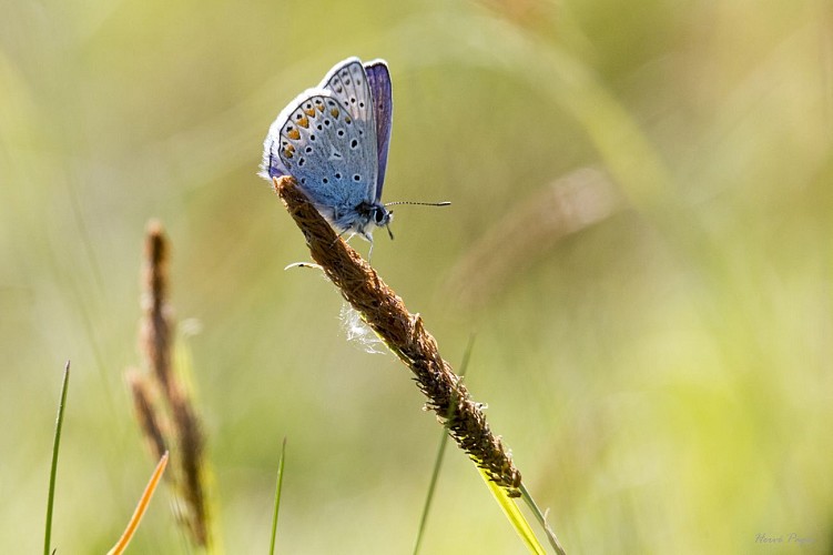 Grand Tour de l'Astarac à vélo - 3 jours pour découvrir le futur PNR de l'Astarac