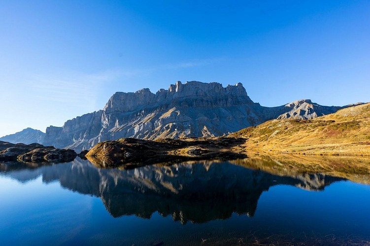 Lac de Pormenaz: an oasis of biodiversity