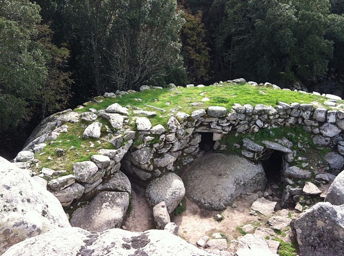 ©O Leonetti Levie -Site préhistorique de Cucuruzzu IMG-20250702-WA0007
