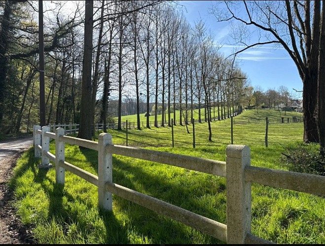 Promenade de Nizelles