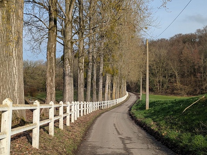 Promenade de Nizelles