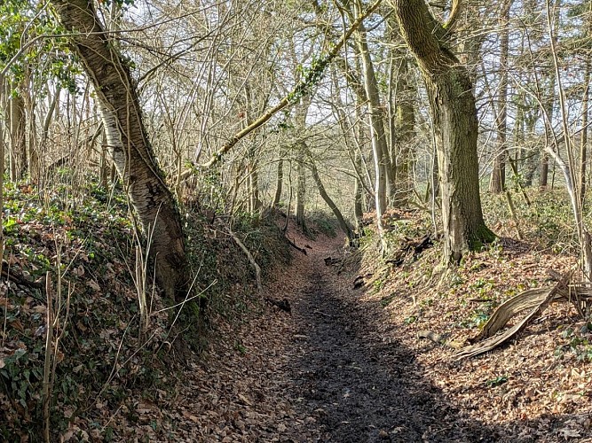 sentier de l'abbaye