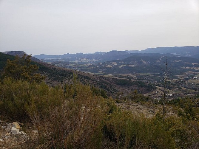 Vue sur la vallée du Rosanais