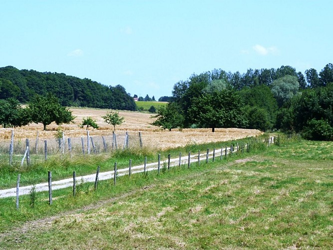 Sentier des Moulins de la Cléry