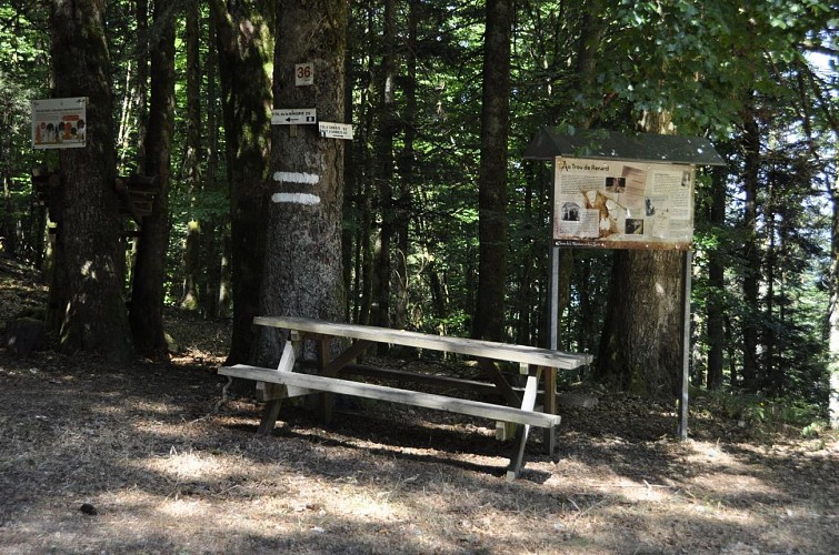 Randonnée - Chemin de la résistance et de la liberté