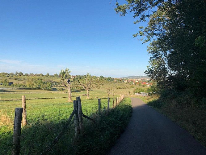 Randonnée - Circuit du Tire-Lire